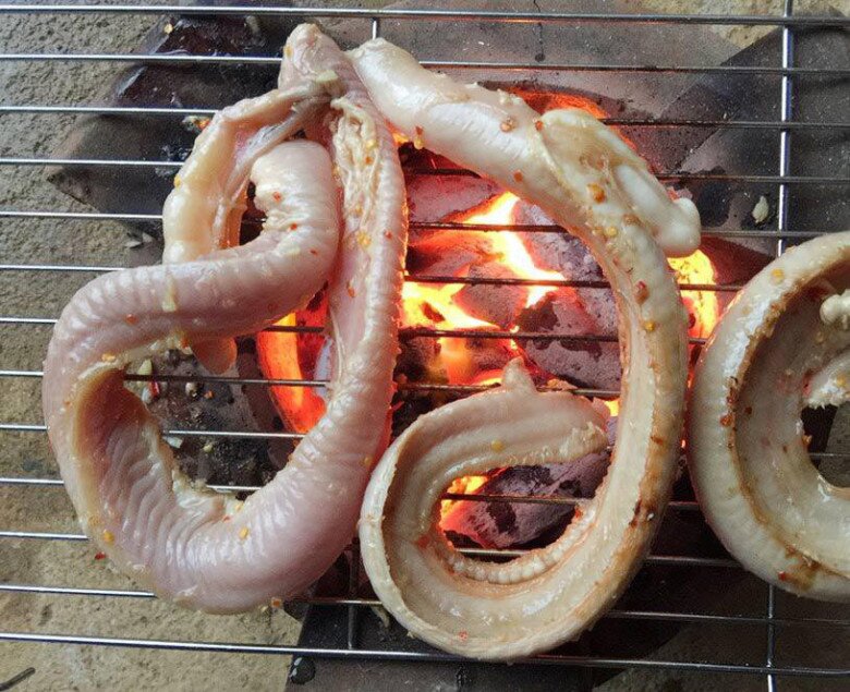 Loài cá bề ngoài khiến nhiều người sợ chết khiếp lại là đặc sản Bình Định, có cái tên &#34;thoắt ẩn thoắt hiện&#34; gây tò mò - 3