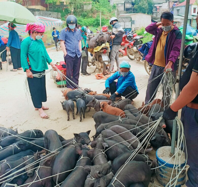 Phiên chợ độc nhất ở Lào Cao nằm giữa lưng trời, bán toàn đồ lạ khó nơi nào có - 4