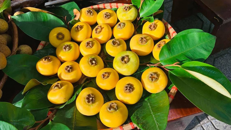 Chưa thưởng thức 4 loại quả này xem như chưa biết hương vị của mùa thu Hà Nội! - 3