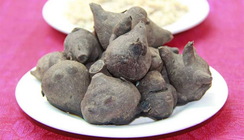 Thứ củ độc chết người lại là đặc sản chỉ có ở Hà Giang, nấu thành món cháo thơm ngon lại siêu bổ dưỡng - 2
