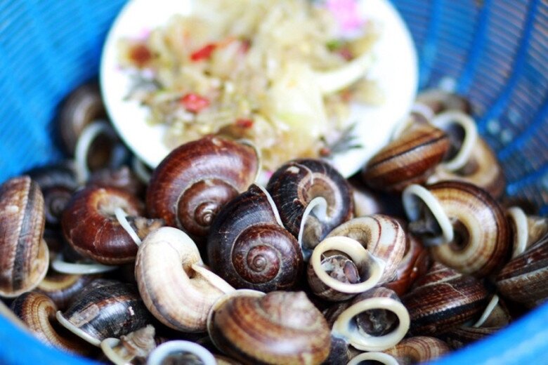 Thứ &#34;lộc trời&#34; chui ra từ hốc đá là đặc sản cực hiếm ở Hòa Bình, bán đắt như &#34;tôm tươi&#34;, có tiền chưa chắc đã mua được - 2