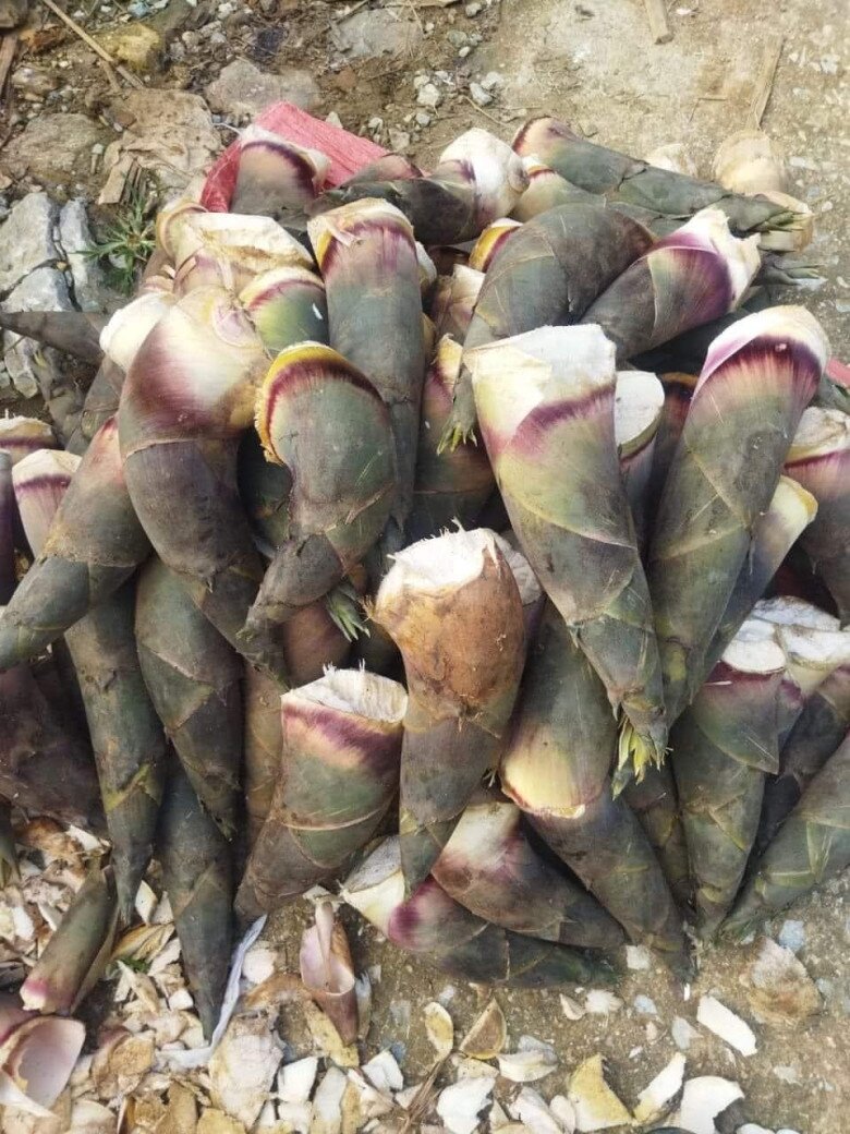 Thứ mọc sâu trong rừng xưa chẳng ai biết, nay xuống phố khiến dân thành thị thích mê, chị em mê bếp núc thi nhau tìm mua - 2