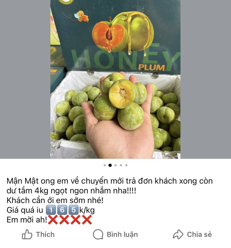 Thứ quả nhìn xanh lét lại có vị ngọt như mật ong cực &#34;hot&#34; MXH, chị em đổ xô mua thử dù giá đến 500.000đ/kg - 2