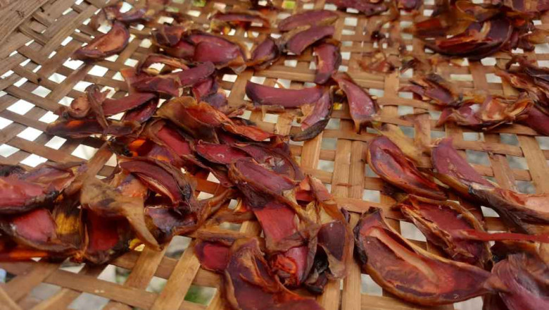 Thứ quả &#34;vô danh&#34; thành đặc sản đắt giá: Hương thơm khiến nhiều người mê mẩn lại cực tốt cho sức khỏe - 4
