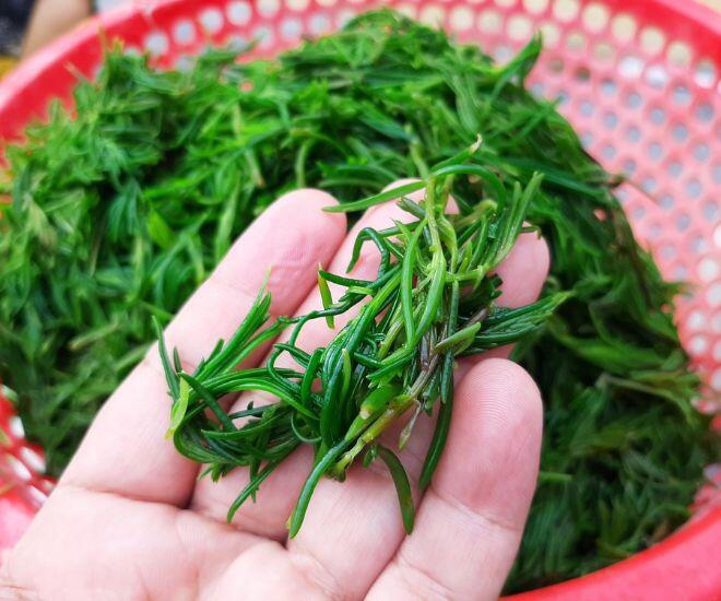 Thứ rau &#34;ăn sương hít khí trời&#34; xưa rẻ bèo không ai mua, nay thành đặc sản người thành phố lùng tìm - 1