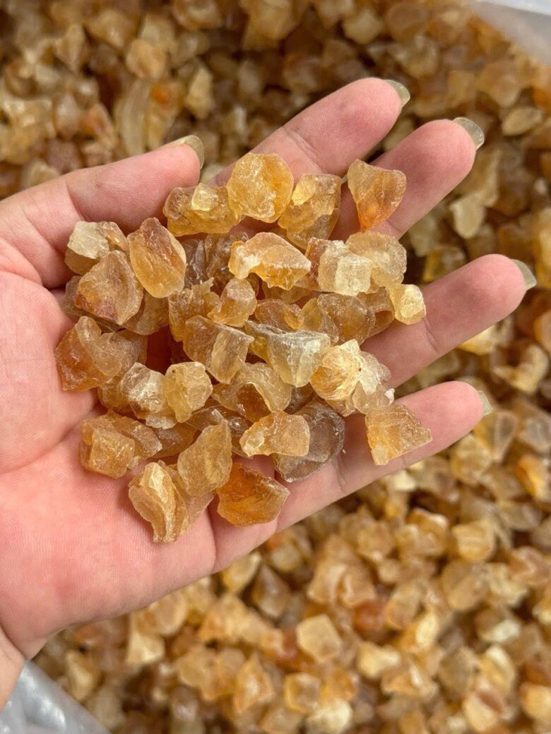 Thứ tiết ra từ vết thương của cây xưa không ai ngó, nay được &#34;săn lùng&#34; vì nổi danh là &#34;vàng trắng&#34; nhờ giàu dinh dưỡng - 4