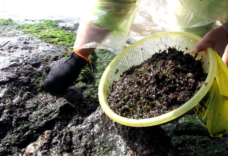 Thứ xưa chỉ nhà nghèo ăn nay thành đặc sản miền Trung, giá đến 200.000 đồng/kg khách vẫn lũ lượt mua - 4