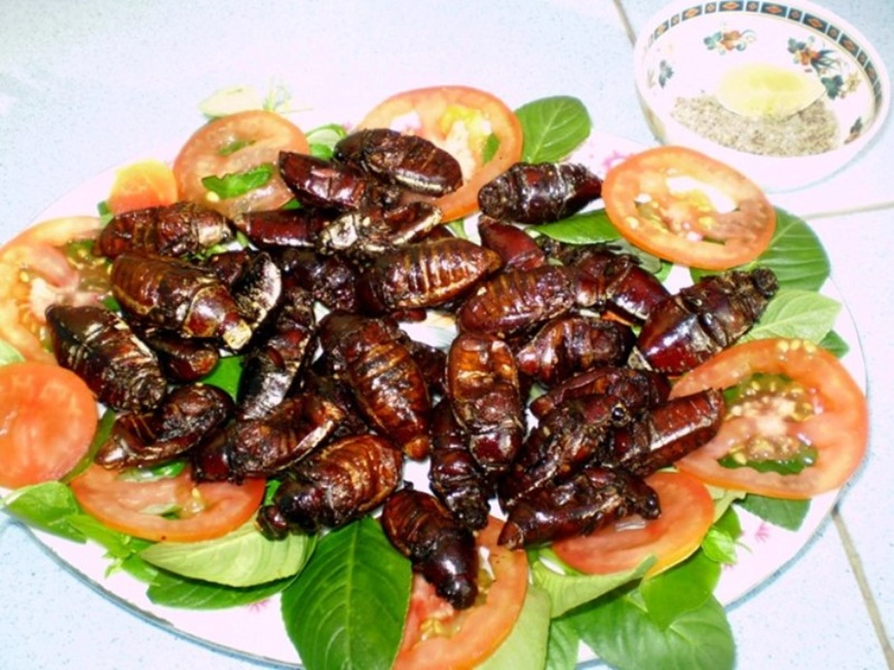 “Đặc sản từ lòng đất” chỉ có vào mùa mưa nhìn thôi đã khiếp sợ nay khiến thực khách tò mò, giá 300.000 đồng/kg - 3