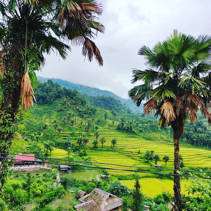 Bản Liền - điểm khởi đầu dịu dàng cho hành trình &#34;chữa lành&#34; quên phố thị, tìm về với bình yên - 4