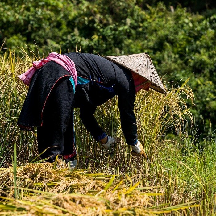 Bản Liền - điểm khởi đầu dịu dàng cho hành trình &#34;chữa lành&#34; quên phố thị, tìm về với bình yên - 5