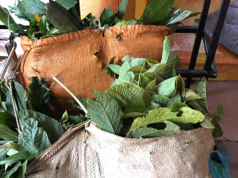 Bản Liền - điểm khởi đầu dịu dàng cho hành trình &#34;chữa lành&#34; quên phố thị, tìm về với bình yên - 7