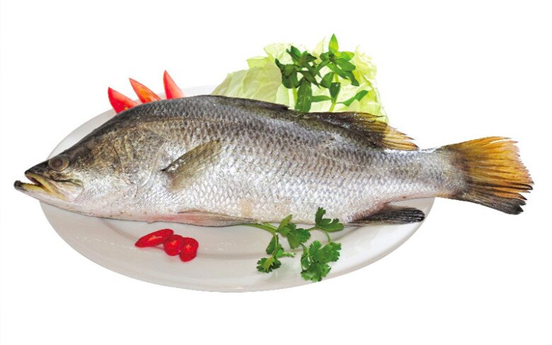 Loài cá dân dã ở Việt Nam, bất ngờ được khen “tốt hơn cả cá hồi”, giá chỉ từ 120.000 đồng/kg - 3