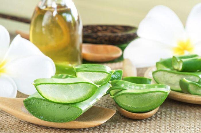 Loại cây tưởng là &#34;thần dược&#34; làm đẹp lại có thể phá nát khuôn mặt nếu phạm phải những điều này? - 1