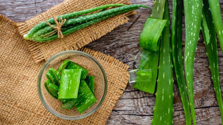 Loại cây tưởng là &#34;thần dược&#34; làm đẹp lại có thể phá nát khuôn mặt nếu phạm phải những điều này? - 3