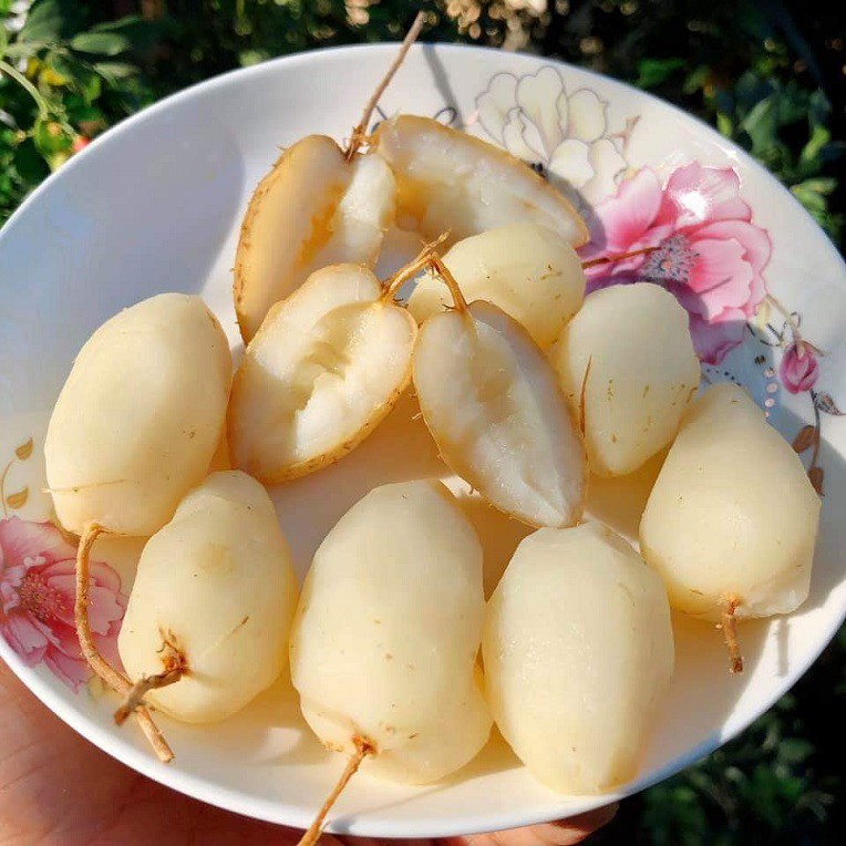 &#34;Báu vật dưới lòng đất&#34; có tên lạ, mỗi năm thu hoạch 1 lần, là món ăn tuổi thơ của người miền Tây nay trở thành đặc sản - 3