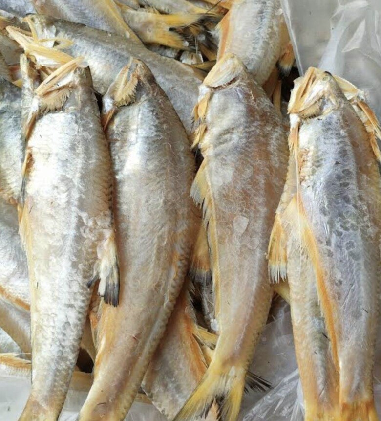 Loài cá xưa chả ai thèm, để cho lợn ăn, giờ thành đặc sản nổi tiếng một vùng, phơi khô bán mắc gấp 10 lần cá tươi - 3