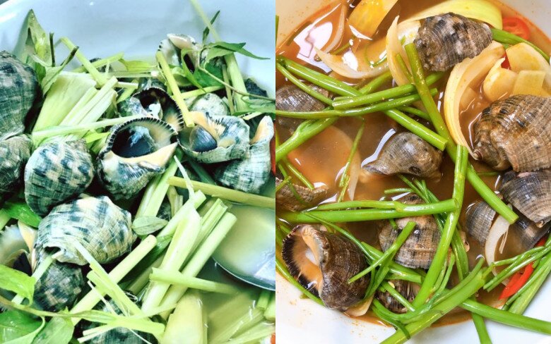 Loài ốc có tên của một loại gia vị quen thuộc, hình thù kỳ lạ ít ai biết, chỉ hấp thôi đã thành món ngon hết sẩy  - 3
