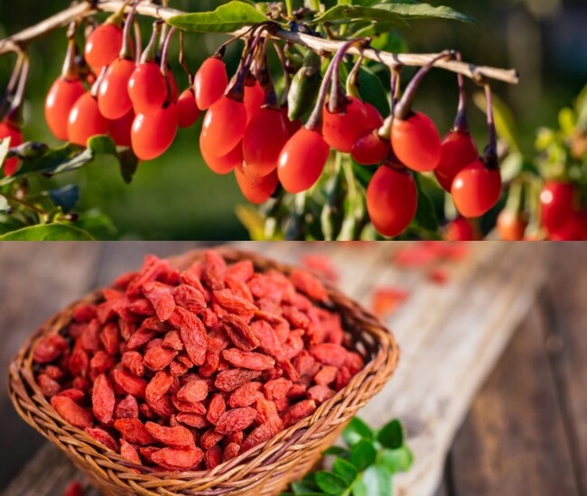 Loại quả được ví như &#34;kim cương đỏ&#34;: Uống mỗi ngày giúp da xinh, dáng đẹp thấy rõ - 1