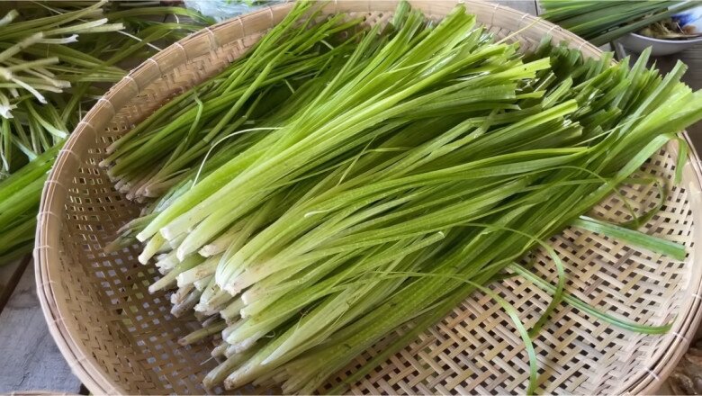 &#34;Lộc trời ban&#34; xưa chỉ bỏ đi, giờ thành đặc sản, bán giá &#34;cắt cổ&#34; vẫn có ào ạt người mua - 1