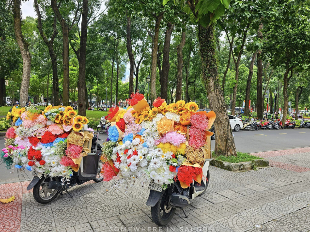 “Mùa thu Hà Nội” - phiên bản đặc biệt giữa lòng Thành phố Hồ Chí Minh - 3