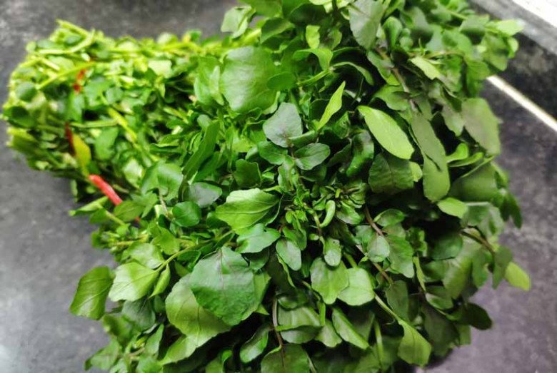 Loại rau tốt nhất thế giới ngừa được K, nước Mỹ chấm 10 điểm, có sẵn ở chợ Việt, 25.000đ/kg - 3