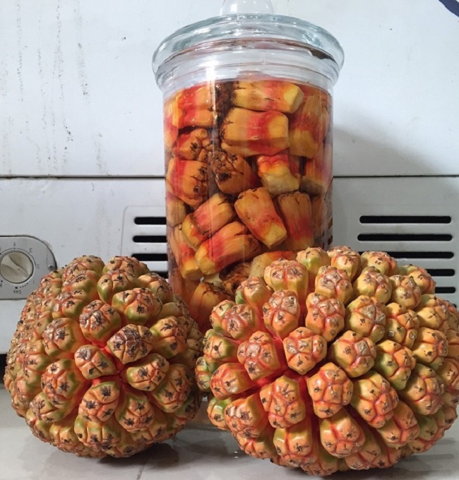 Loại quả dại có giá 100.000 đồng/kg, tốt cho sức khỏe và làm đẹp, chúng mọc phổ biến ở miền Tây - 8