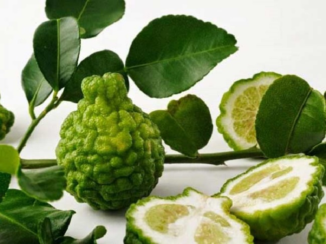 Loại quả rất nổi tiếng ở Thái Lan, lá dùng làm gia vị quả là kho bổ sung Vitamin C, giá 100.000 đồng/kg - 5