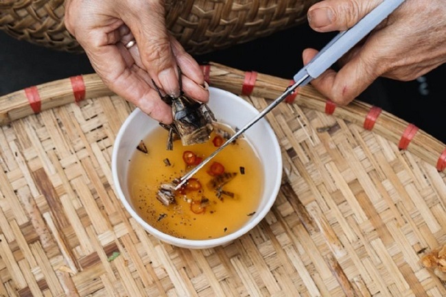 Tinh dầu từ con này có giá 500.000 đồng/ml, cho một giọt vào bát nước mắm sẽ tạo hương vị khó quên - 7