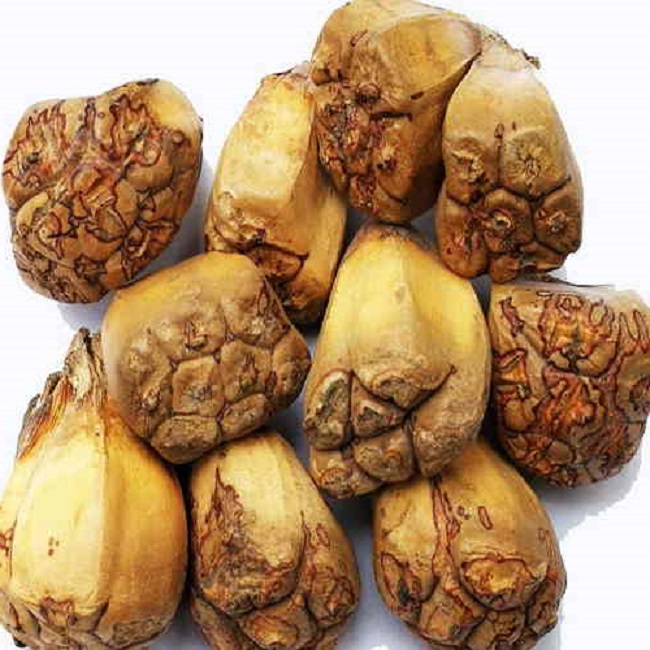 Loại quả dại có giá 100.000 đồng/kg, tốt cho sức khỏe và làm đẹp, chúng mọc phổ biến ở miền Tây - 6