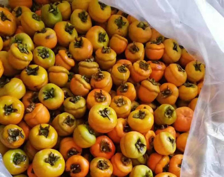 Quả này là đặc sản mùa thu, ăn ngon và tốt cho sức khỏe, ngoài chợ bán rất nhiều - 3