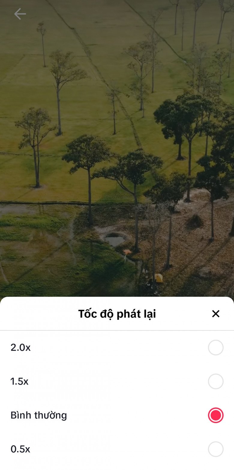 Sử dụng TikTok đã lâu, liệu bạn có biết đến 3 tính năng tăng trải nghiệm xem video này? - 4