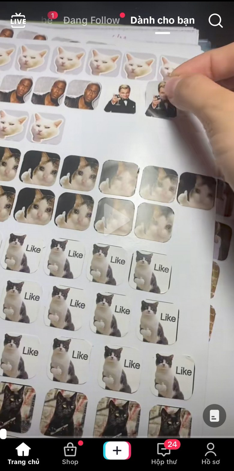 Sử dụng TikTok đã lâu, liệu bạn có biết đến 3 tính năng tăng trải nghiệm xem video này? - 2