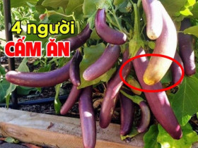 Cà tím là “vua của các loại rau” nhưng 4 người này tuyệt đối đừng ăn