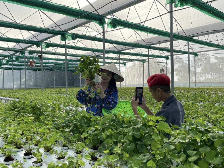 &#34;Giai nhân màn ảnh Việt&#34; trẻ đẹp bất chấp nhờ công thức sạch, U50 gây &#34;lú&#34; với eo thon, chân dài ngỡ gái còn son - 5