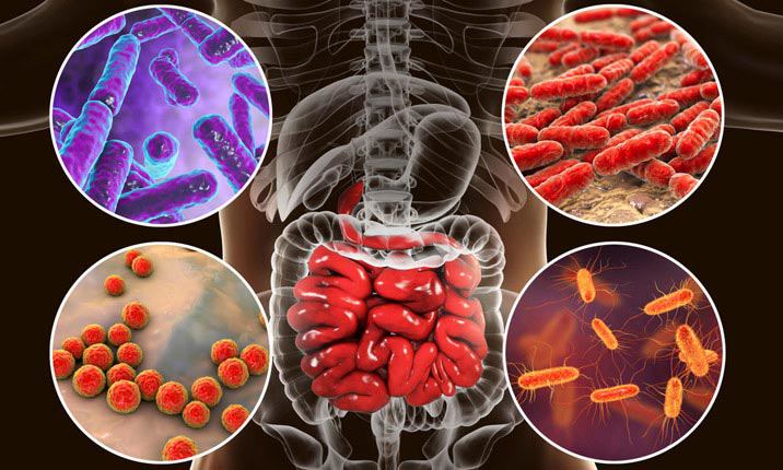 3 thực phẩm nuôi dưỡng “vi khuẩn gầy” trong ruột, càng ăn nhiều càng không lo béo - 1