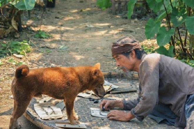 Chú chó Mít: Hành trình từ lò mổ đến &#34;ngôi sao&#34; điện ảnh phim kinh dị Việt - 8