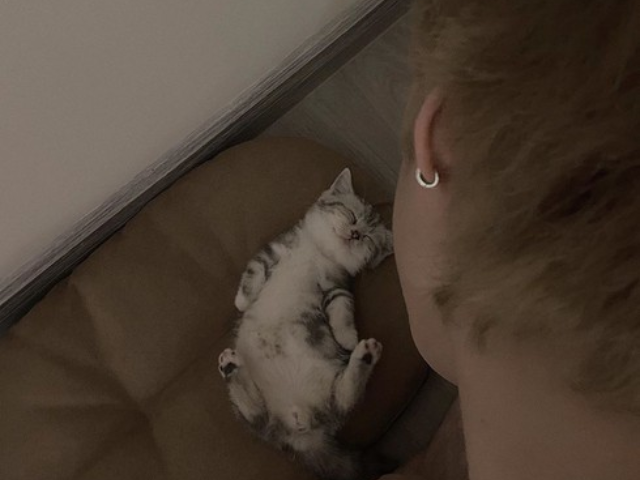 Ngoài đường làm sao hạng A, nhưng về nhà thì nghệ sĩ Việt cũng làm "con sen" cho các "boss cưng" - 2