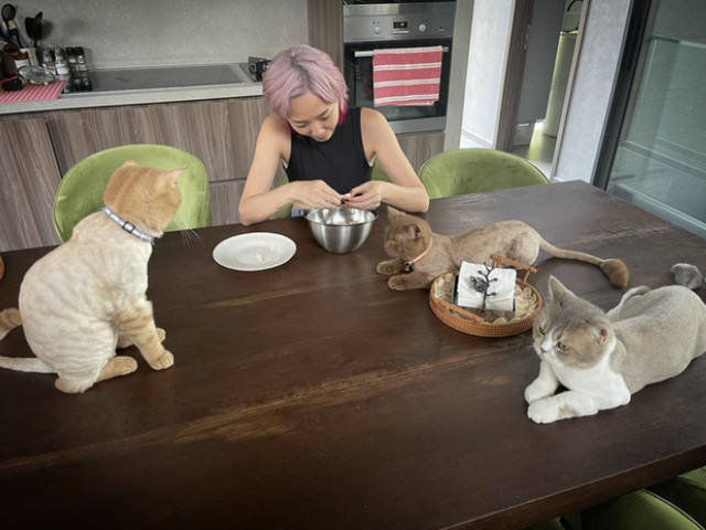 Ngoài đường làm sao hạng A, nhưng về nhà thì nghệ sĩ Việt cũng làm "con sen" cho các "boss cưng" - 11