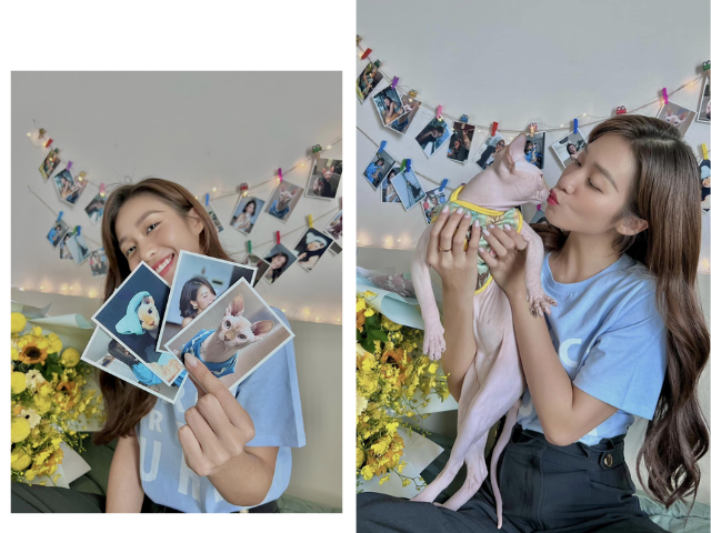 Ngoài đường làm sao hạng A, nhưng về nhà thì nghệ sĩ Việt cũng làm "con sen" cho các "boss cưng" - 14