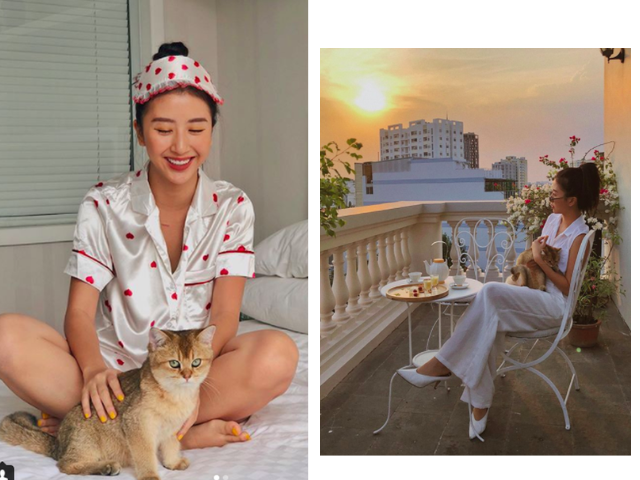 Ngoài đường làm sao hạng A, nhưng về nhà thì nghệ sĩ Việt cũng làm "con sen" cho các "boss cưng" - 15