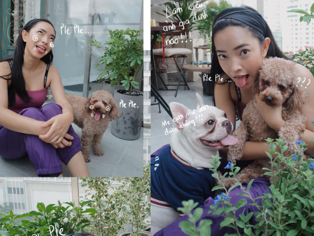 Ngoài đường làm sao hạng A, nhưng về nhà thì nghệ sĩ Việt cũng làm "con sen" cho các "boss cưng" - 5