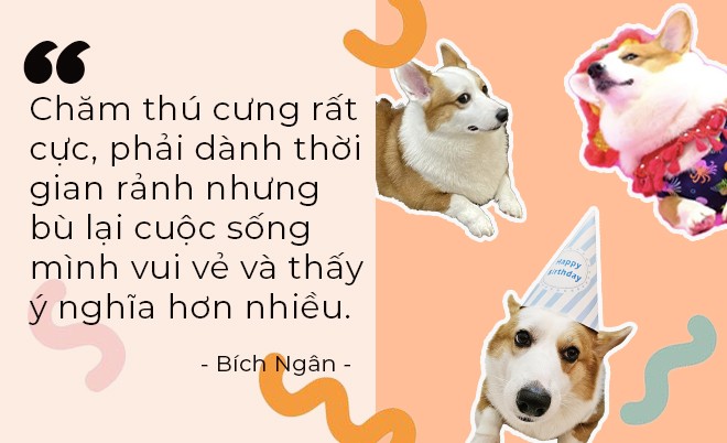 Khi thú cưng là “liệu pháp chữa lành” của người trẻ - 4