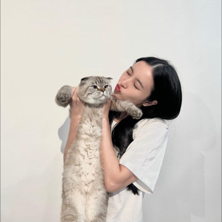 Khi thú cưng là “liệu pháp chữa lành” của người trẻ - 1