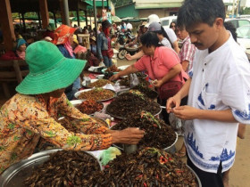 Kỳ lạ chợ côn trùng lớn nhất miền Tây: Cánh đàn ông thích mê vì lời đồn "xuân dược"