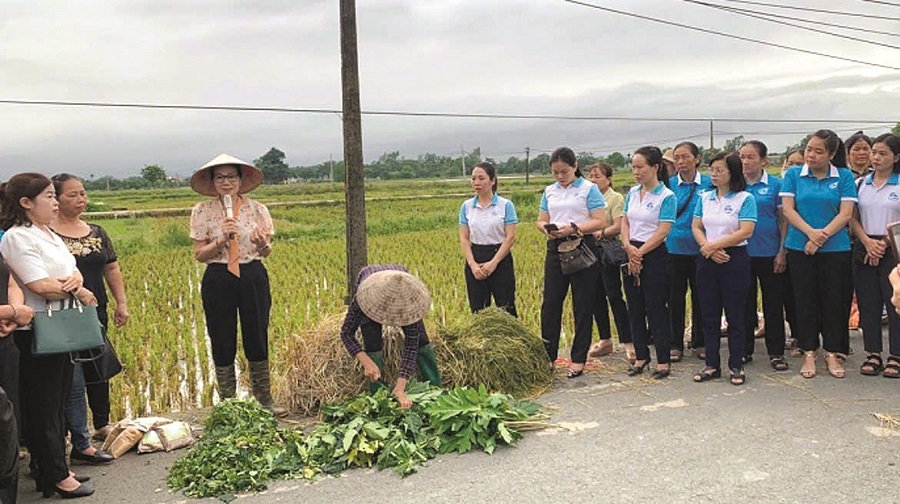 Phụ nữ Thủ đô xây dựng nông thôn mới, đô thị văn minh - 3