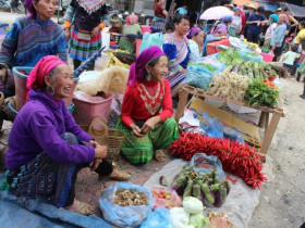 Lên Hà Giang đi 