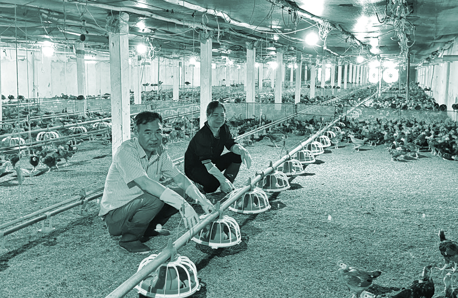 Nữ nông dân làm kinh tế giỏi - 1