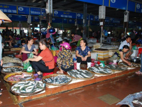 Giữa lòng Thanh Hóa có khu chợ chuyên bán hải sản tươi sống, khách đến mua ê hề không lo "chặt chém"