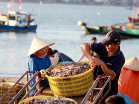 Chợ cá lâu đời nhất Hà Tĩnh, tồn tại hàng trăm nhờ bán hải sản tươi rói với giá cực rẻ