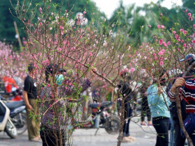 7 khu chợ nổi tiếng nhộn nhịp nhất Hà Nội vào dịp Tết, tha hồ mua đồ trang trí, cây cảnh không thiếu thứ gì